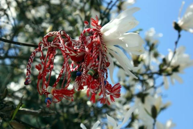 Some interesting facts about the Summer Day in Albania